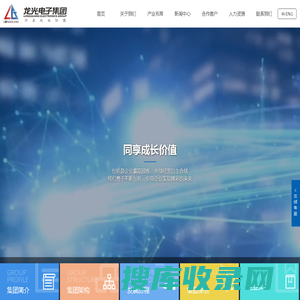 龙光电子集团有限公司