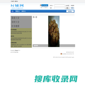 N城网