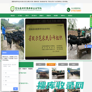 蓬溪县向前养羊专业合作社