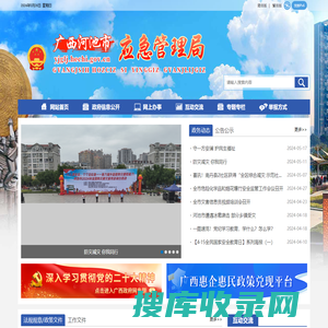 广西河池应急管理局网站